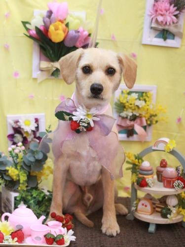 20230311ユキチくん